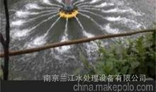 池塘里的水妖精