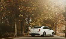 向着新生活前进_1200字