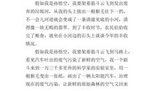 假如我是孙悟空_350字