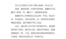 跨入新的一年_750字