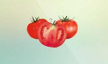 栽种你的最爱_800字