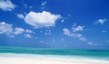 保护江河湖库，共享碧水蓝天_900字