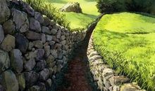 永远的师爱_800字