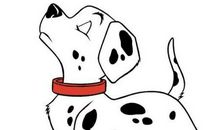 [PK赛]关于动物的作文：我的宠物—乌龟_1200字