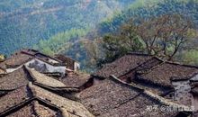 渐行渐远的村庄_800字