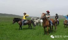 草原上骑马_450字