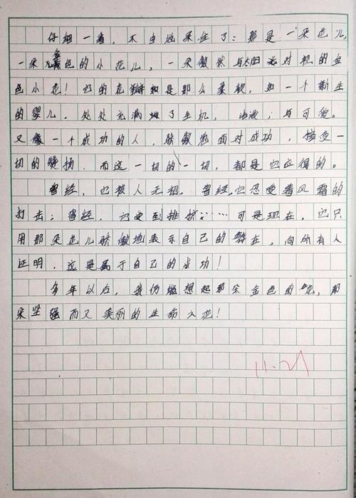 初中第一天的叙事构成：元宵节_700字