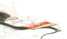 2012浙江高考满分作文：矮纸斜行闲作草_800字