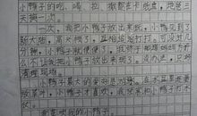 [PK赛]关于动物的作文：我的小闷多儿_800字