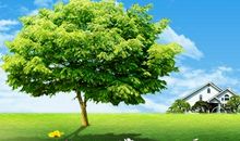 初二写景作文：春天的怀念_900字