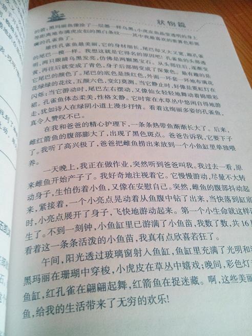 [PK赛]关于动物的构图：对不起，小鸟！ _500字