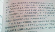 [PK赛]关于动物的作文：小鸟，对不起！_500字