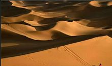 守望的深情_1200字