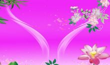 【读书札记】摘抄《荷塘月色》_400字