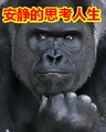 生活思考_300字