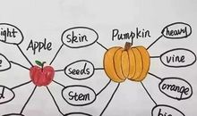 当思维发散到成熟以后_900字