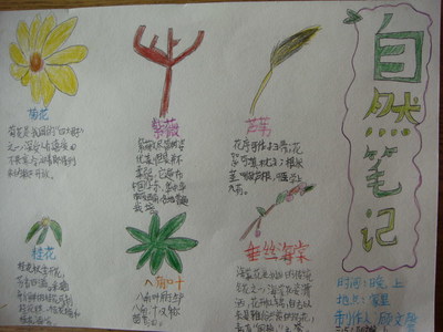 【读书笔记】手指_1200字