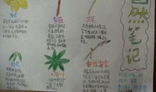 【读书札记】手指_1200字