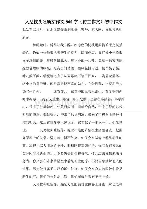 2008年广州高中入学考试满分分数的欣赏-另请参见树枝吐出的新芽（2）_1000字
