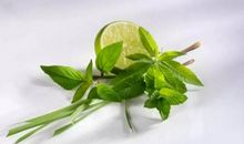 没有一种草不是花_600字