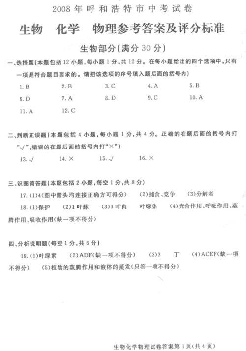 2008年日照市高考全场作文《我还在飞》 _800字