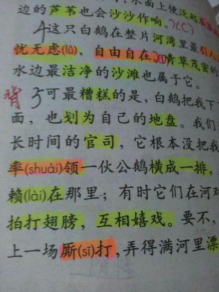 [PK赛]关于动物的构图：我的蚂蚁朋友和I_1200字