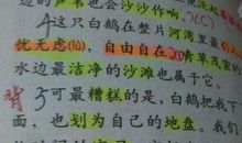 [PK赛]关于动物的作文：我和蚂蚁朋友_1200字