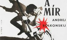 我和弟弟的战争与和平_500字