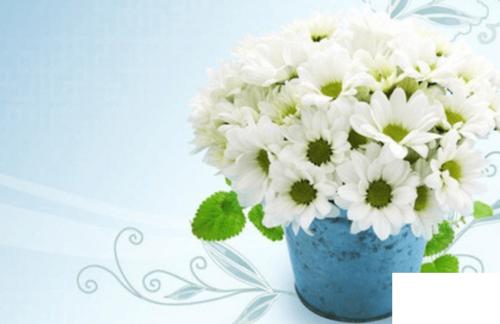 [我的烦恼]彩虹是white_1500字