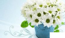 [我的烦恼]那彩虹是白色的_1500字