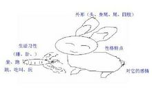 [PK赛]关于动物的作文：我家的“宝宝”_500字