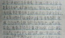 [PK赛]关于动物的作文：我最爱的豆豆_800字