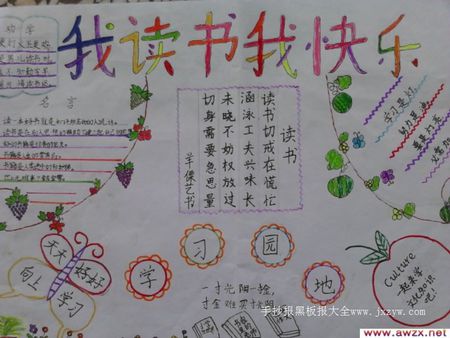 三年级读书笔记：“阅读的乐趣” _500字