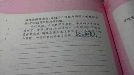 一年级风光成分：雨后_500字