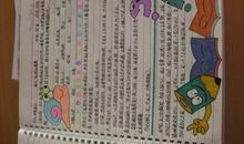 初三读书笔记：【读书札记】礼仪_200字