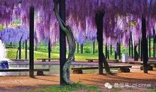 在时间深处沉静_2000字