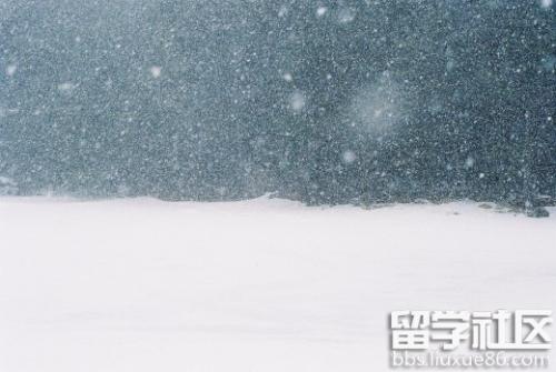 关于雪的组成：冰雪走廊_600个单词