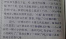 初一写景作文：走进秋天_750字