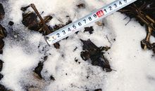 很十六七岁_2000字