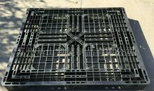 笼子门被打开了_800字