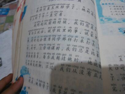 [PK赛]关于动物的文章：小燕子800字