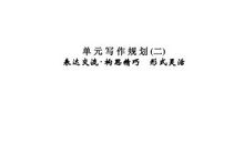 高二抒情散文：秩序与自由的碰撞_800字