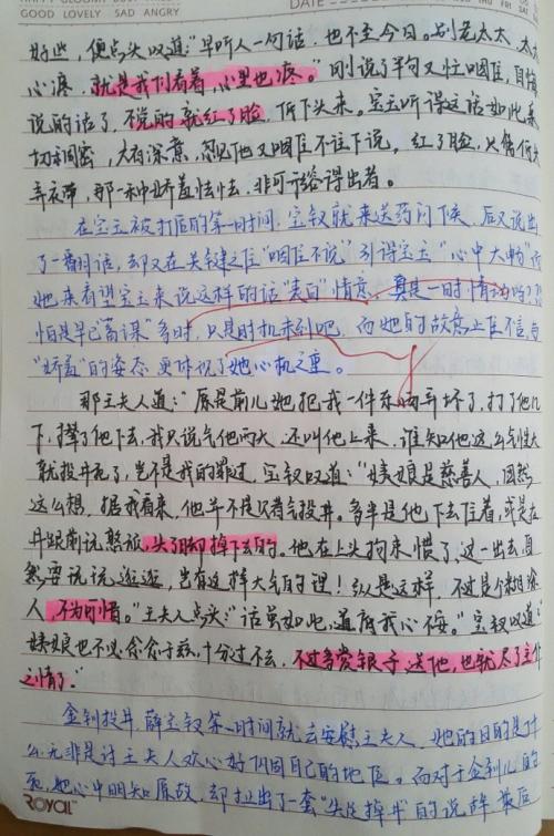三年级读书笔记：会说话的石碑_1500字