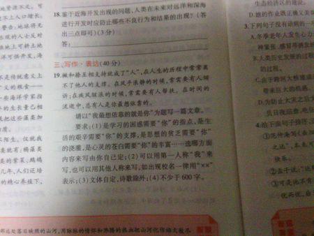 2008年无锡市高中统考“我最想依靠你”满分2_1000字