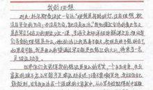 【微作文】我的理想_100字