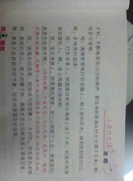 二级叙事作文：安赛腰鼓是世界上最好的_300个单词