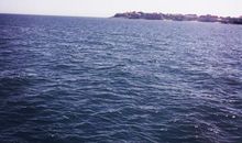 第一次见到大海_500字