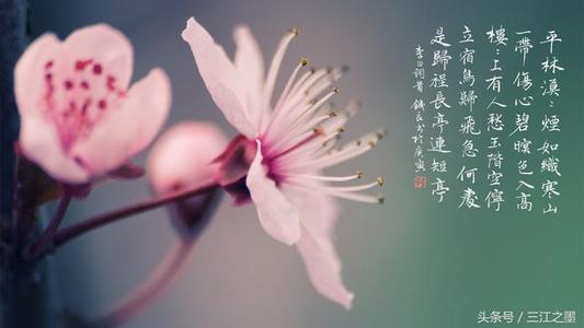 Miss_150字