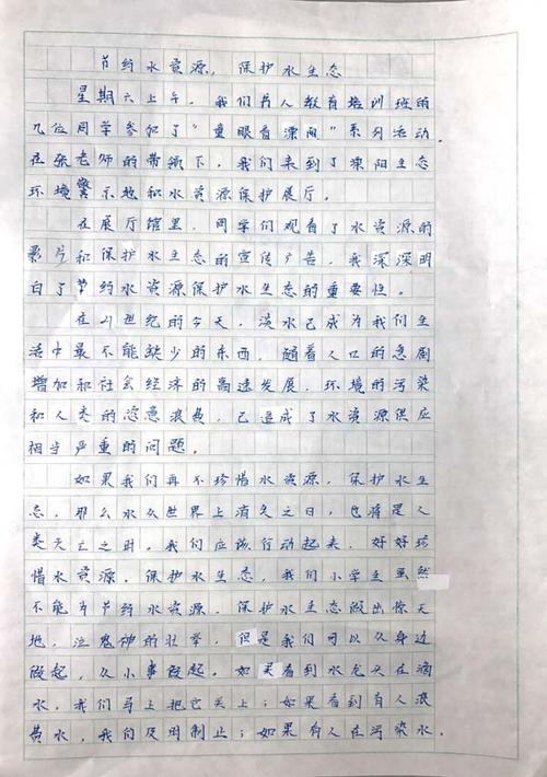 三年级复习作文：“小鞋子”复习_700字
