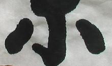 第一次学写毛笔字_350字